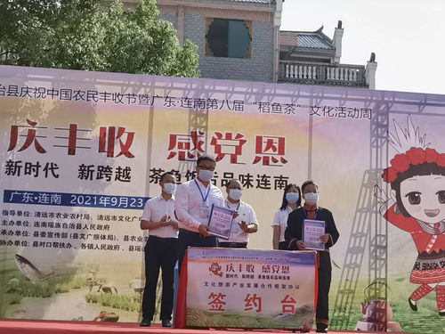 連南第八屆稻魚茶文化活動周盛大開幕，推動文化藝術交流新篇章